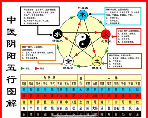 八卦五行圖|八卦（中国古人认识世界时对事物的归类）